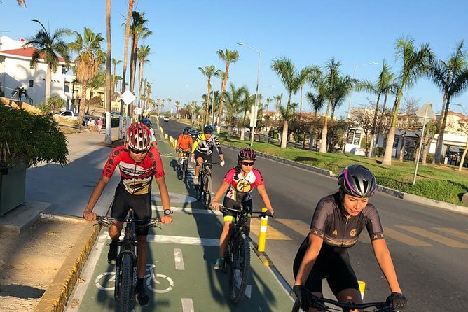 Following the bike lane, discover the main attractions of San José del Cabo - Mission San José del Cabo: why the town grew around the church