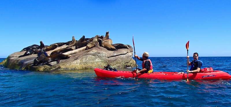 From Cabo: Cabo Pulmo Marine Park Snorkeling and Kayaking - Key points before you go