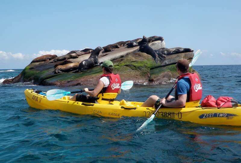 From Cabo: Cabo Pulmo Marine Park Snorkeling and Kayaking - Kayaking to La Sirenita: remote coastline and sea lion country