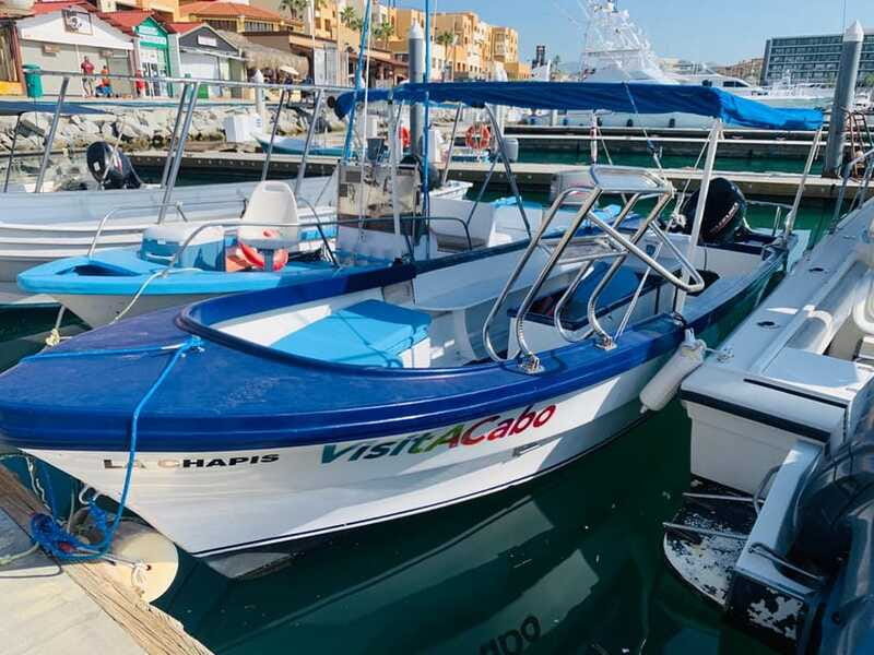 From Cabo San Lucas: Lovers Beach and El Arco Boat Trip - Who should book this El Arco and Lovers Beach boat trip?