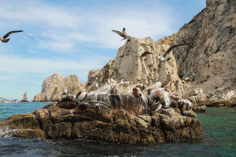 From Cabo San Lucas: Lovers Beach and El Arco Boat Trip - Should you book the Lovers Beach and El Arco boat trip?