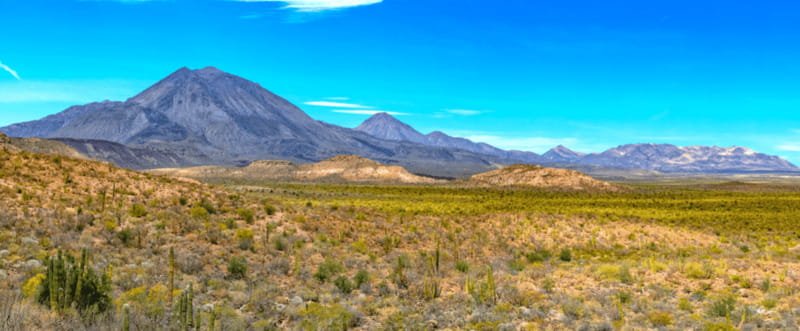 From Los Cabos: City Tour La Paz, Balandra and Todos Santos - Key highlights before you go