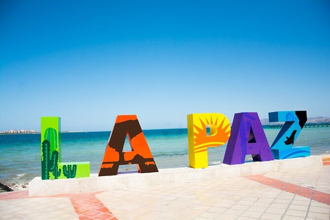 Full-Day La Paz Private Tour from Los Cabos - Private vehicle comfort and bilingual commentary (what that changes)