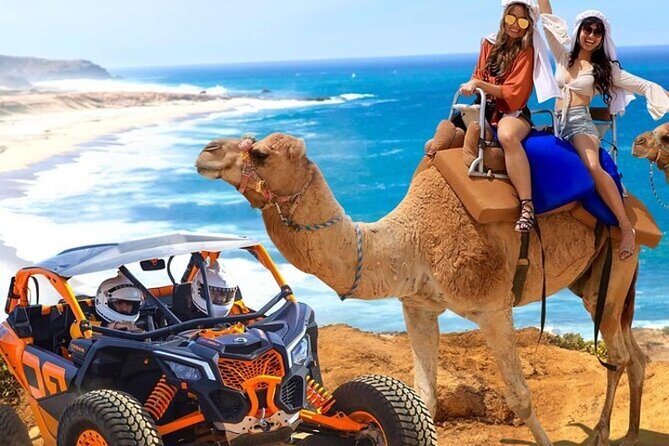 Fun Camel Ride and UTV COMBO with Tequila Tasting! - Key Points You’ll Care About