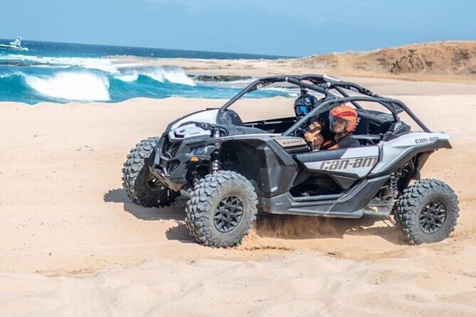 Fun Camel Ride and UTV COMBO with Tequila Tasting! - Camel Ride on the Pacific: Migriño Beach, Desert Scenery, and Wildflowers