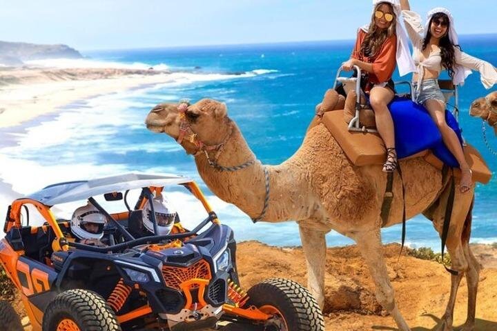 Fun Camel Ride and UTV COMBO with Tequila Tasting! - Tequila Tasting: Included, Informative, and Not Just a Shot