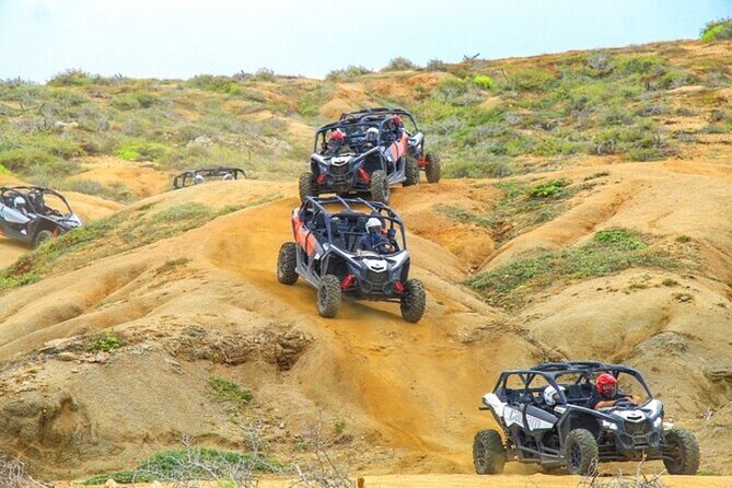 Fun Camel Ride and UTV COMBO with Tequila Tasting! - What Your 3-Hour Day Actually Feels Like (and Where Delays Happen)