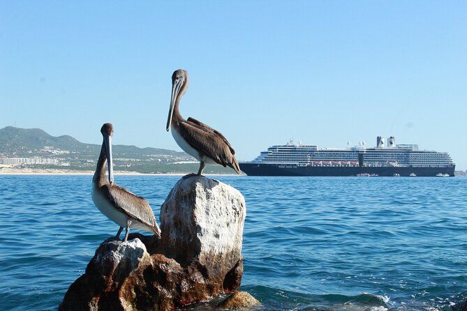 Glass Bottom Boat in Cabo San Lucas, free time in Playa del Amor - Glass-Bottom Cabo: Why This 45-Minute Cruise Works
