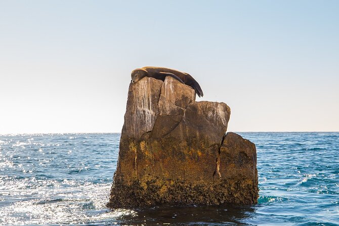 Glass Bottom Boat in Cabo San Lucas, free time in Playa del Amor - Stop-by-Stop: What Each Phase Feels Like