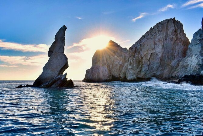 Glass Bottom Boat Sightseeing Tour in Cabo San Lucas - Price and what you’ll actually pay on the water
