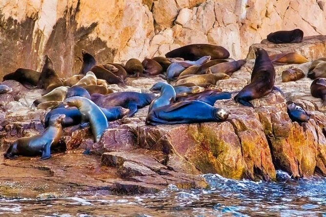 Glass Bottom Boat Sightseeing Tour in Cabo San Lucas - Stop 1: El Arco and the Land’s End landmarks you’ll want to spot