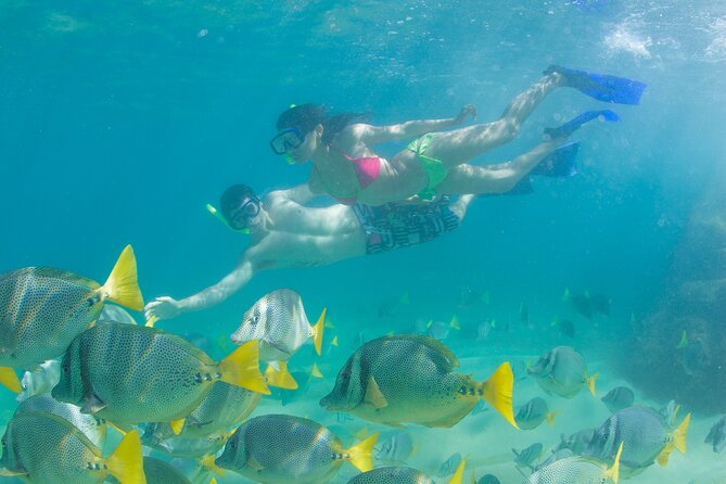 Glass Bottom Boat to the Arch and Lovers Beach: Optional Pickup - Price and value: why $11.27 can feel almost too good