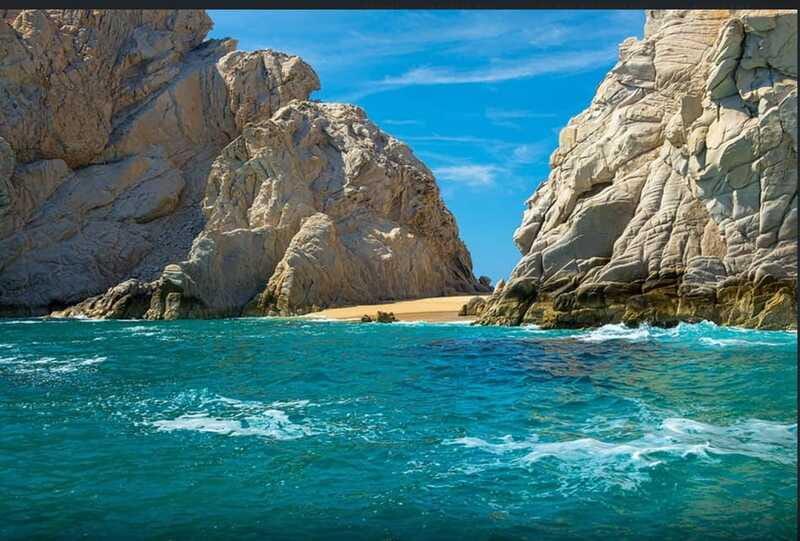 Glass Bottom Boat Tour Arch Cabo - Sea lions and wildlife: what to scan for