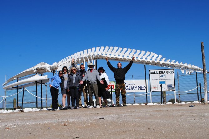 Gray Whale-Watching 2-Day Experience in Magdalena Bay - Guides and boat handling: why names matter