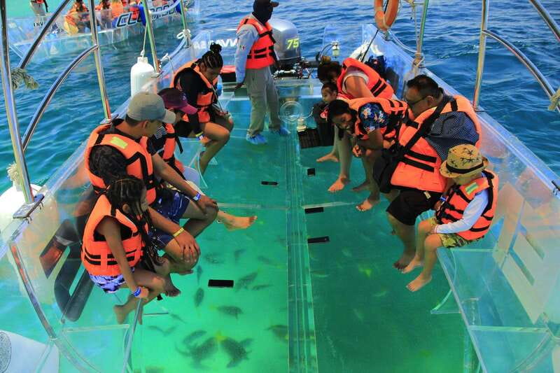 Guided Cabo Tour: Boat | Tacos & Tequila | Photos & Transfer - The Photo Package: Unedited Digital Pictures Without the Stress