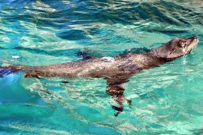 Guided Tour Los Cabos: Boat | Tacos & Tequila | Photos & Transfer - The clear boat ride to the Arch: worth it, timing it right