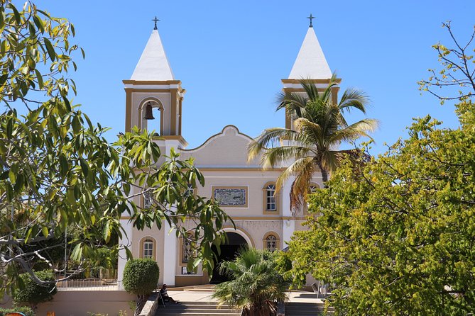 Guided Tour Los Cabos: Boat | Tacos & Tequila | Photos & Transfer - Tacos and tequila tasting: fun food stop, not a distillery visit