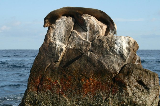 Guided Tour Los Cabos: Boat | Tacos & Tequila | Photos & Transfer - Price and value: what you’re really paying for