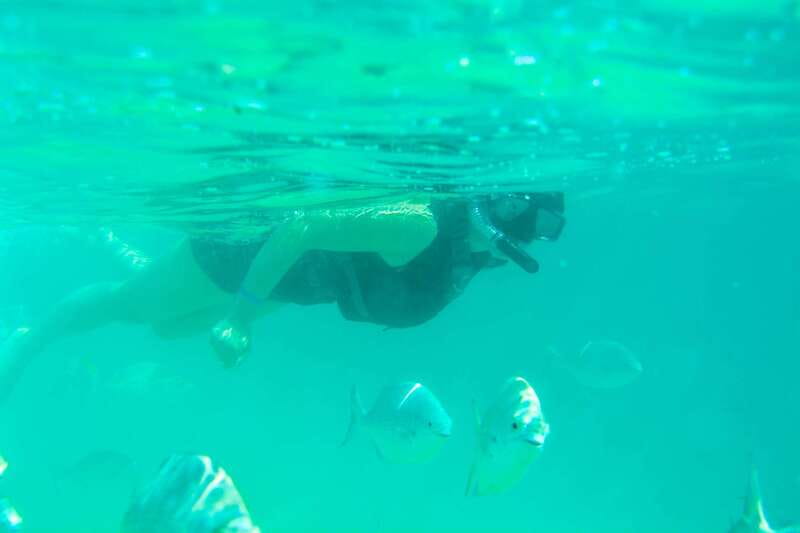 Half Day Guided Snorkel Tour in Los Cabos - Key things to know before you book