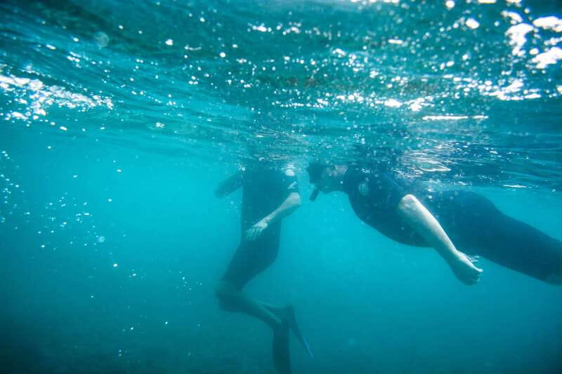 Half Day Guided Snorkel Tour in Los Cabos - Hotel Pickup and Van Timing: Make the Morning Easier