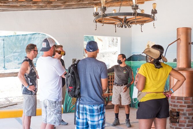 Half-Day San José del Cabo Zip Line and Rappel Adventure - Tequila Tasting Finish: A Nice Reward After the Work