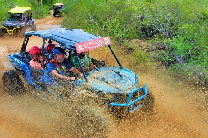 Half-day Wild Desert Polaris Razor UTV Tour - Key highlights you’ll care about