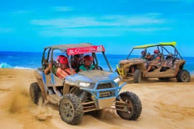 Half-day Wild Desert Polaris Razor UTV Tour - Vehicle choice and group setup: 1 to 4 passengers per Polaris RZR
