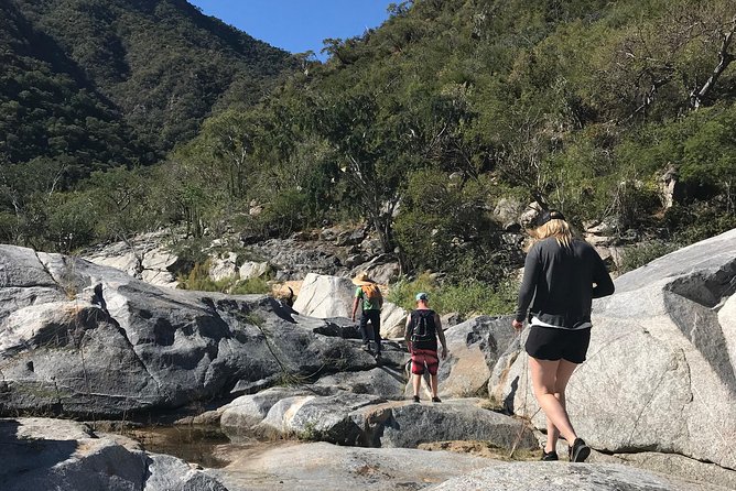 Hike the native Pericu road in Sierra de la Laguna. - Key things to know before you go