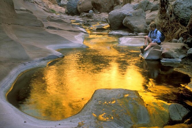 Hike the native Pericu road in Sierra de la Laguna. - Why the Pericu Road hike feels different in Cabo
