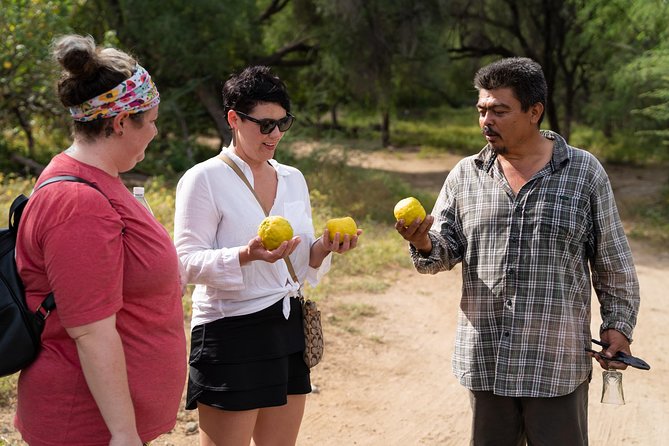 Hike the native Pericu road in Sierra de la Laguna. - Damiana tasting and the ranch lunch that makes the day feel complete