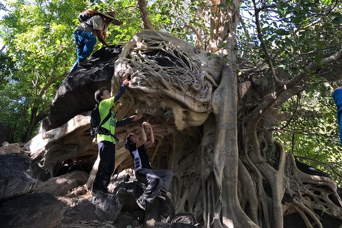 Hike the native Pericu road in Sierra de la Laguna. - Trail reality: what the rocky parts mean for your body