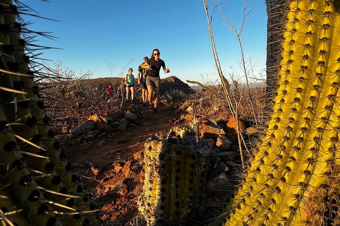 Hiking Todos Santos at Sunset - The Town Stop in Todos Santos: Culture First, Then Shoes On