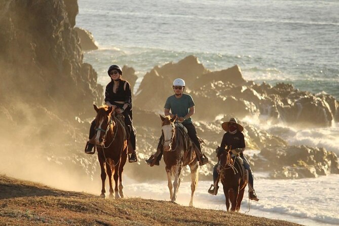 Horse Back Ridding Tour on the Pacific Ocean & Desert - Quick hits before you go