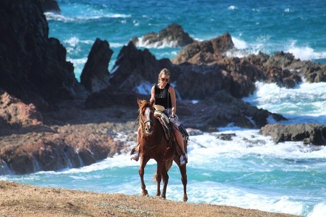 Horse Back Ridding Tour on the Pacific Ocean & Desert - The real reason this ride works: views plus real context