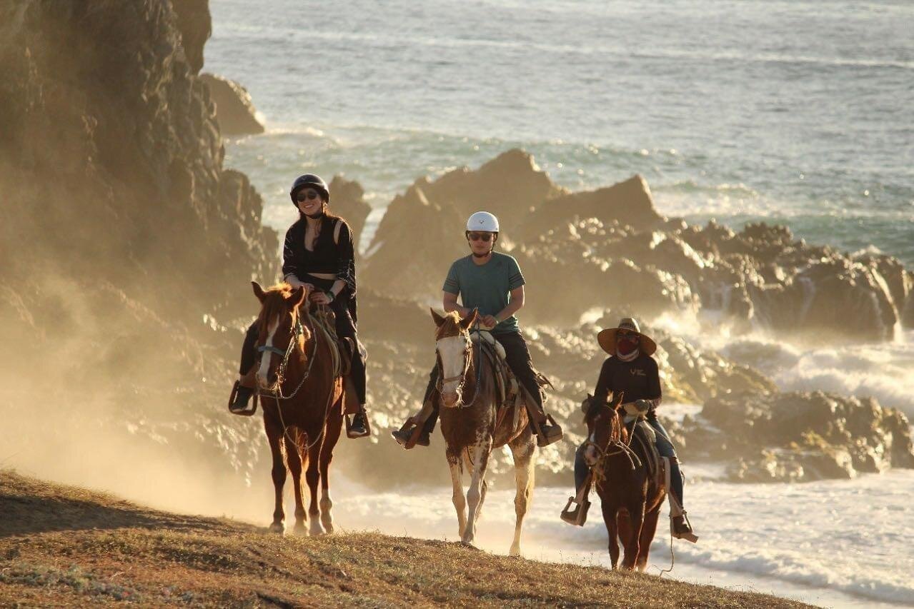 Horse Back Ridding Tour on the Pacific Ocean & Desert - Group size and comfort: who this ride suits best