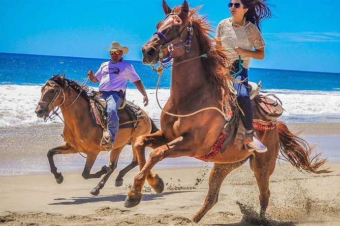 Horseback Riding & ATV Combo! Mountain Trails & Beautiful Beaches of BAJA! - Key things to know before you go