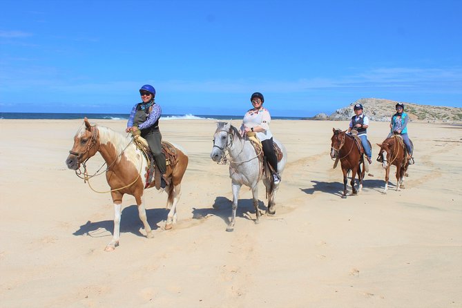 Horseback Riding & ATV Combo! Mountain Trails & Beautiful Beaches of BAJA! - Horseback riding: slower pace, better wildlife moments