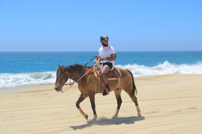 Horseback Riding Beach and Desert Adventure - Meeting Point: Where Cactus Tours Gets You Ready