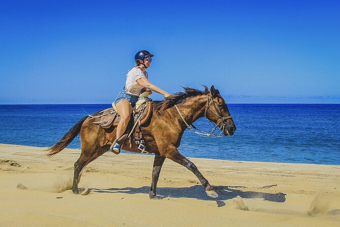 Horseback Riding Beach and Desert in Cabo - Cabo Horseback, Desert First, Ocean Second