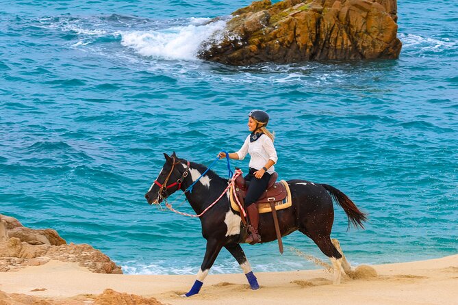 Horseback Riding Beach and Desert in Cabo - Price and the real-world “extra fees” checklist