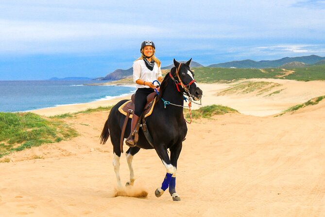 Horseback Riding Beach and Desert in Cabo - The 2.5-hour timeline, step by step