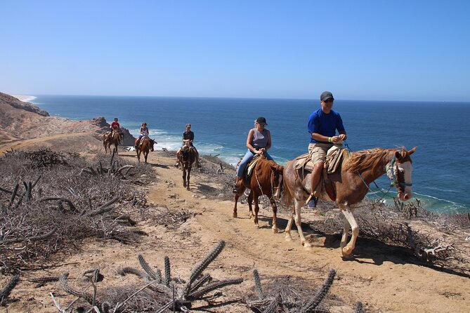 Horseback Riding Experience in Rancho San Cristobal - Key Highlights You’ll Care About