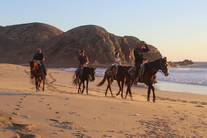 Horseback Riding Experience in Rancho San Cristobal - What the 3 Hours Feels Like: Guided Horse Time Across Three Worlds