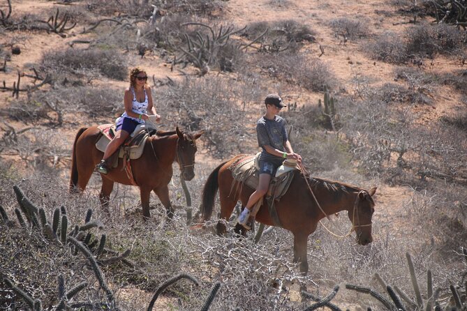 Horseback Riding Experience in Rancho San Cristobal - Horses, Help From the Ranch, and How First-Timers Usually Do