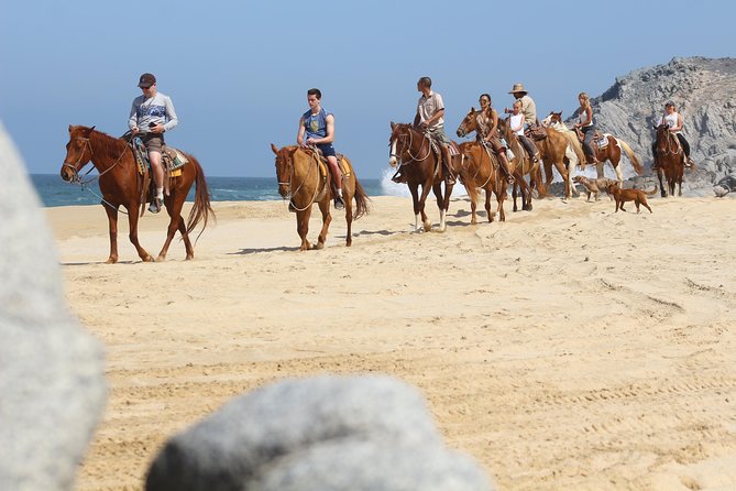 Horseback Riding Tour in Cabo San Lucas - Key things I’d zoom in on