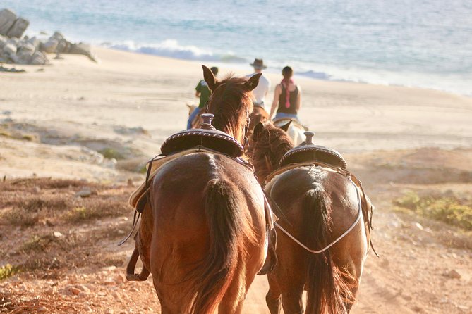 Horseback Riding Tour in Cabo San Lucas - What makes this Cabo horseback ride so appealing