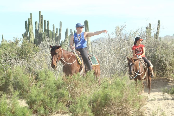 Horseback Riding Tour in Cabo San Lucas - Photos and turtle conservation: the meaning, and the marketing