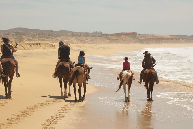 Horseback Riding Tour in Cabo San Lucas - Price and value: how the math really works