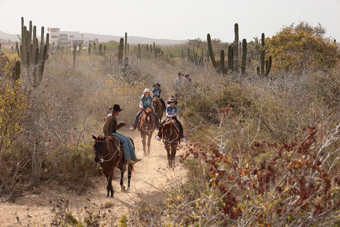 Horseback Riding Tour in Cabo San Lucas - What to wear and bring so you’re comfortable the whole time