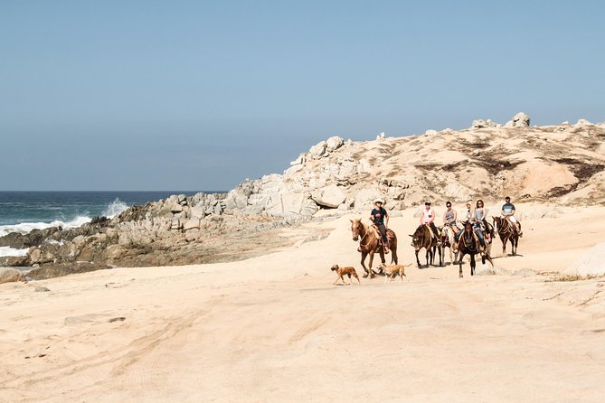 Horseback Riding Tour in Cabo San Lucas - Safety and gear fit: the one area you should check